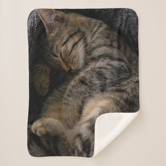 Cutest Baby Animals | Sleeping Tabby Cat Sherpa Blanket (Front)