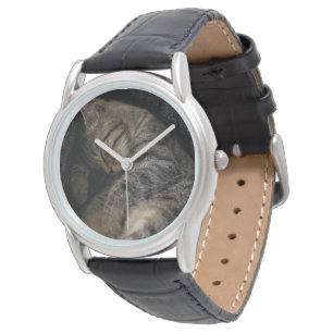 Cutest Baby Animals Sleeping Tabby Cat Watch