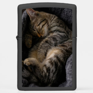 Cutest Baby Animals Sleeping Tabby Cat Zippo Lighter
