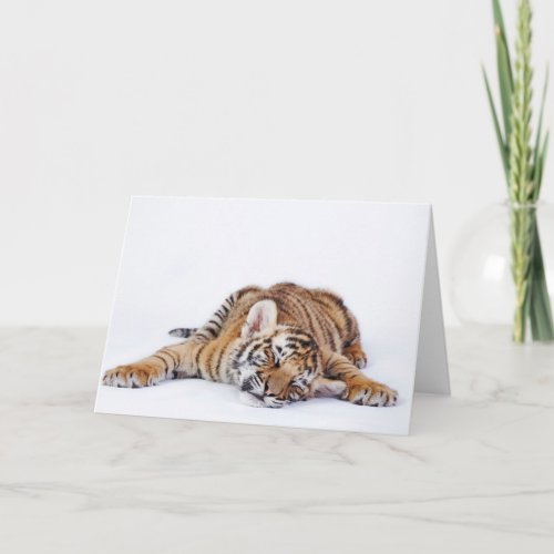 Cutest Baby Animals  Sleepy Baby Tiger Cub Card