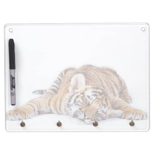 Cutest Baby Animals  Sleepy Baby Tiger Cub Dry Erase Board With Keychain Holder