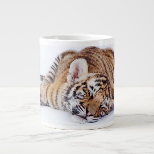 Cutest Baby Animals  Sleepy Baby Tiger Cub Giant Coffee Mug