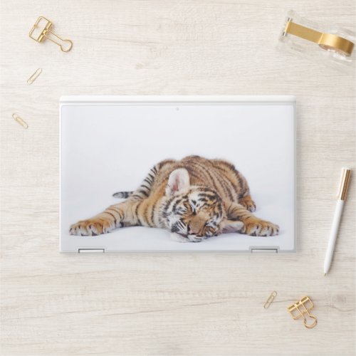 Cutest Baby Animals  Sleepy Baby Tiger Cub HP Laptop Skin