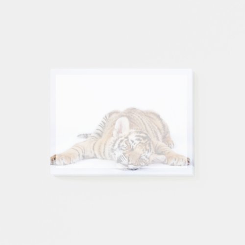 Cutest Baby Animals  Sleepy Baby Tiger Cub Post_it Notes