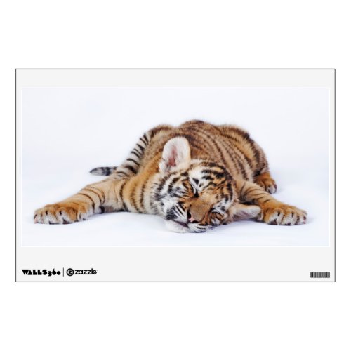 Cutest Baby Animals  Sleepy Baby Tiger Cub Wall Decal