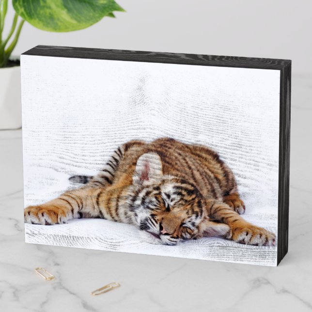 Cutest Baby Animals | Sleepy Baby Tiger Cub Wooden Box Sign (In Situ Horizontal)
