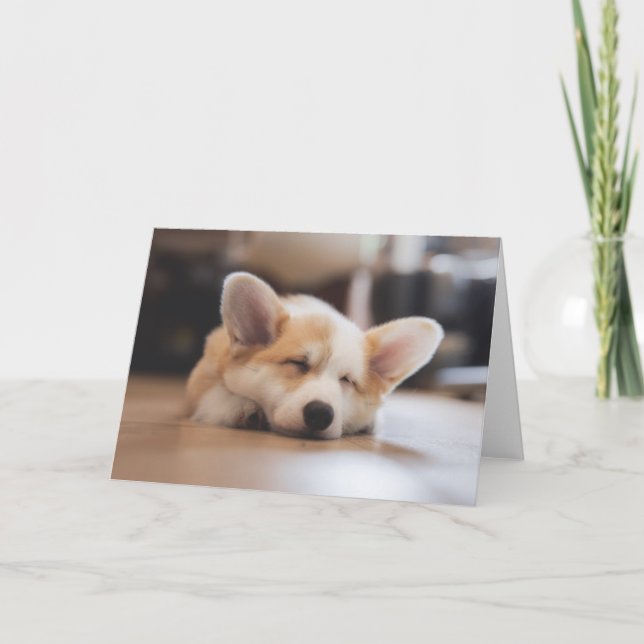 Cutest Baby Animals | Sleepy Corgi Card (Front)