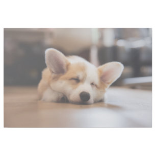 Cutest Baby Animals Sleepy Corgi Gallery Wrap