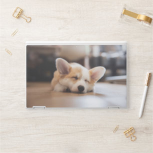 Cutest Baby Animals Sleepy Corgi HP Laptop Skin