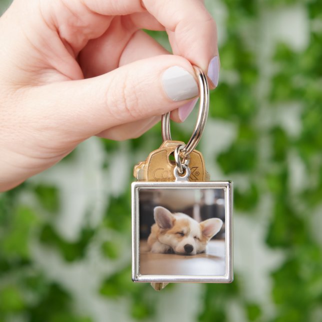 Cutest Baby Animals | Sleepy Corgi Keychain (Hand)