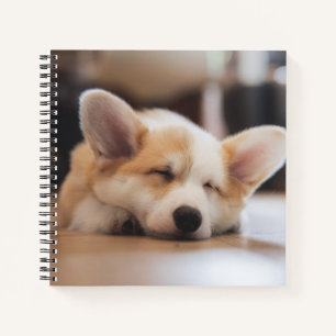 Cutest Baby Animals Sleepy Corgi Notebook