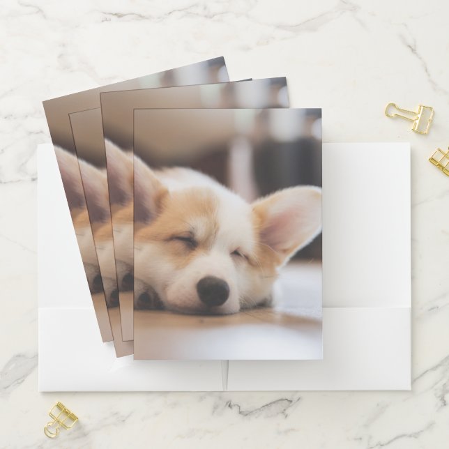 Cutest Baby Animals | Sleepy Corgi Pocket Folder (In Situ)