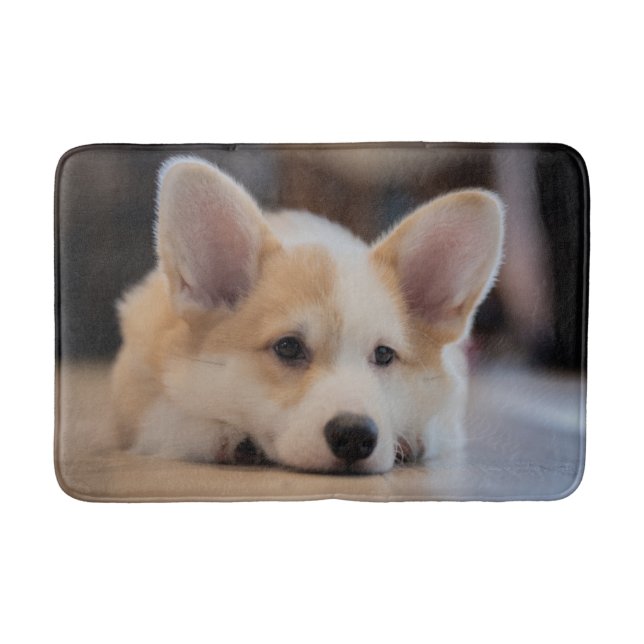 Cutest Baby Animals | Sleepy Corgi Puppy Bath Mat (Front)