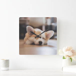 Cutest Baby Animals Sleepy Corgi Square Wall Clock