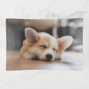 Cutest Baby Animals Sleepy Corgi Trinket Tray
