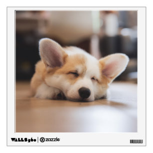 Cutest Baby Animals   Sleepy Corgi Wall Decal