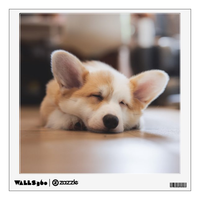 Cutest Baby Animals | Sleepy Corgi Wall Decal (Front)