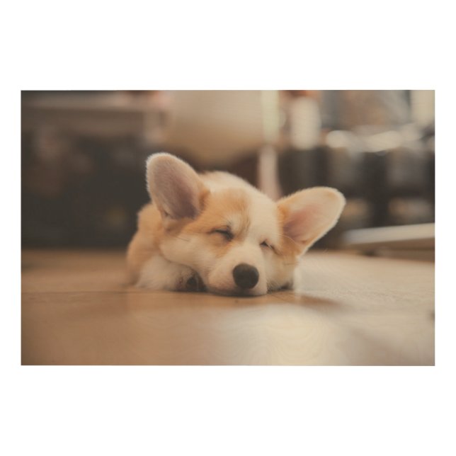 Cutest Baby Animals | Sleepy Corgi Wood Wall Art (Front)