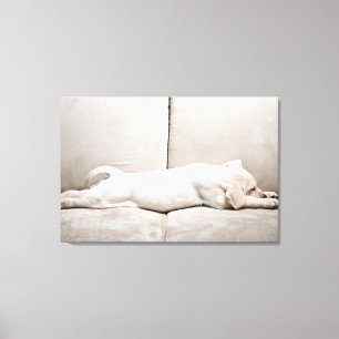 Cutest Baby Animals Sleepy Yellow Labrador Puppy Canvas Print