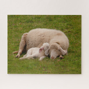 Cutest Baby Animals Smiling Sleeping Lamb Jigsaw Puzzle