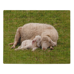 Cutest Baby Animals Smiling Sleeping Lamb Jigsaw Puzzle