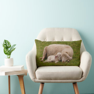 Cutest Baby Animals   Smiling Sleeping Lamb Lumbar Pillow