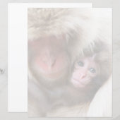 Cutest Baby Animals | Snow Monkey (Front/Back)