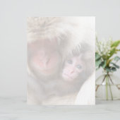 Cutest Baby Animals | Snow Monkey (Standing Front)