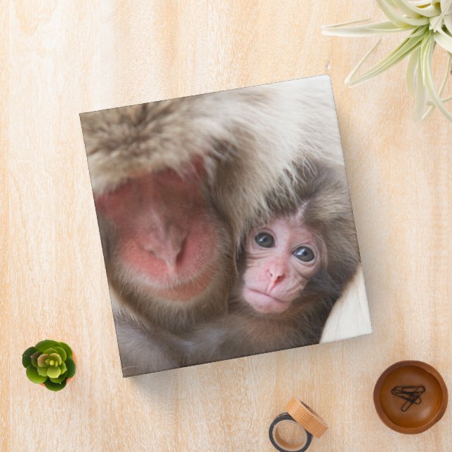 Cutest Baby Animals | Snow Monkey 3 Ring Binder (In Situ)