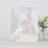 Cutest Baby Animals | Snow Monkey Face (Standing Front)