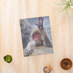 Cutest Baby Animals   Snow Monkey Face Mini Binder
