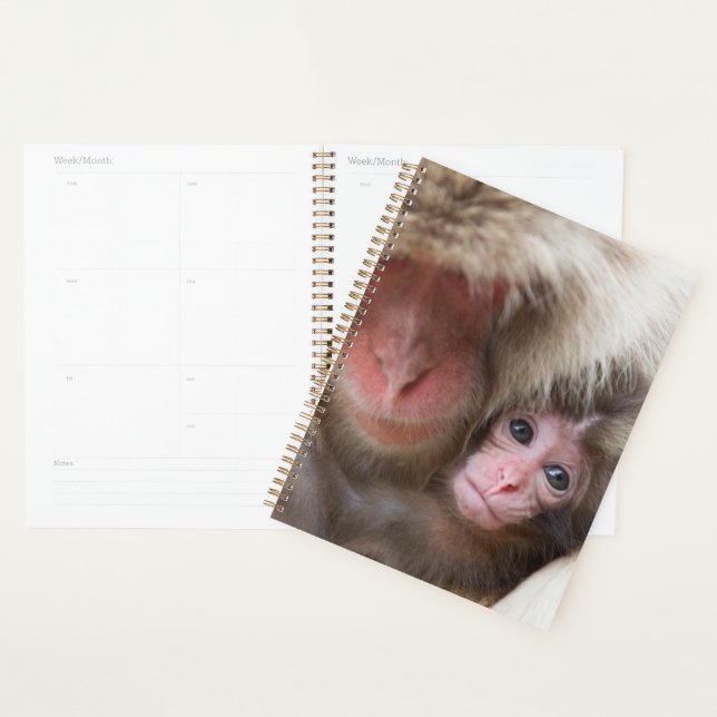 Cutest Baby Animals | Snow Monkey Planner (Display)
