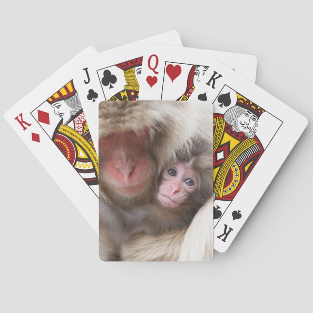 Cutest Baby Animals | Snow Monkey Poker Cards (Back)