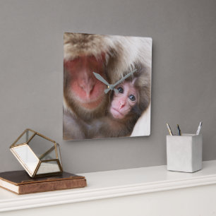 Cutest Baby Animals   Snow Monkey Square Wall Clock