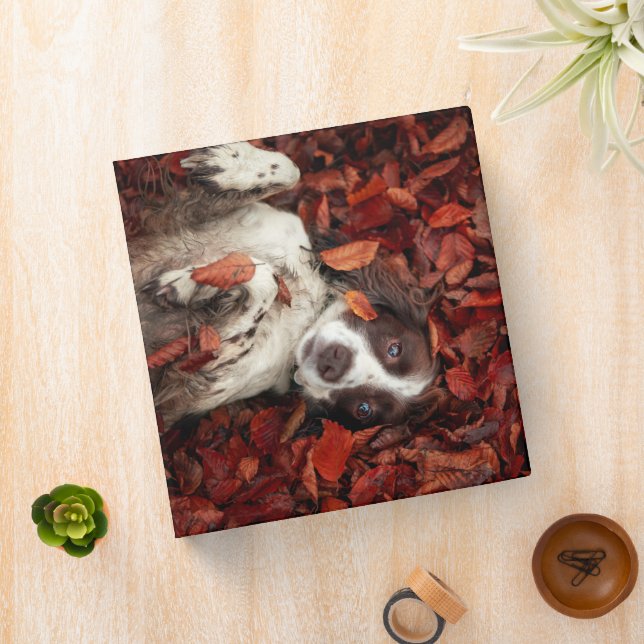Cutest Baby Animals | Spaniel in Autumn Leaves 3 Ring Binder (In Situ)