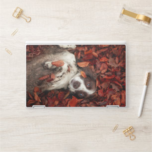 Cutest Baby Animals   Spaniel in Autumn Leaves HP Laptop Skin