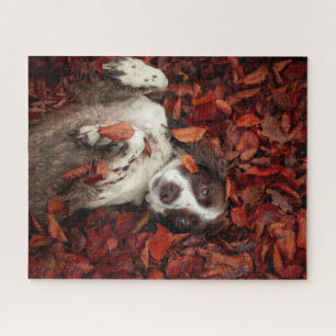Cutest Baby Animals Spaniel in Autumn Leaves Jigsaw Puzzle