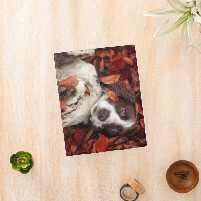 Cutest Baby Animals | Spaniel in Autumn Leaves Mini Binder (InSitu)