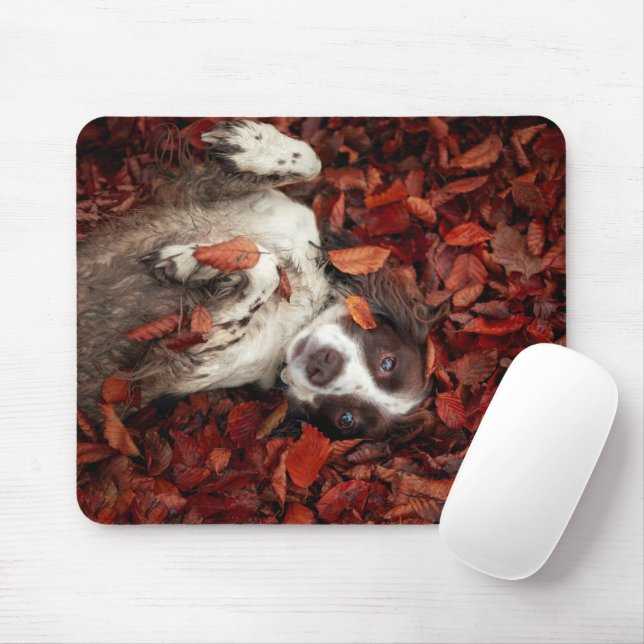 Cutest Baby Animals | Spaniel in Autumn Leaves Mouse Pad (With Mouse)