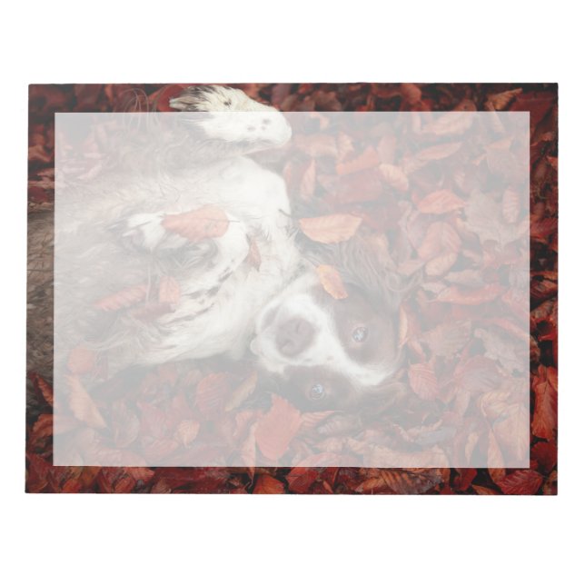 Cutest Baby Animals | Spaniel in Autumn Leaves Notepad (Front)