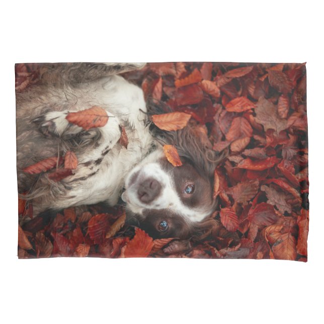 Cutest Baby Animals | Spaniel in Autumn Leaves Pillow Case (Front)