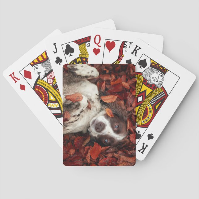 Cutest Baby Animals | Spaniel in Autumn Leaves Poker Cards (Back)