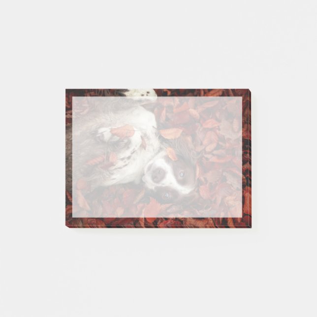 Cutest Baby Animals | Spaniel in Autumn Leaves Post-it Notes (Front)