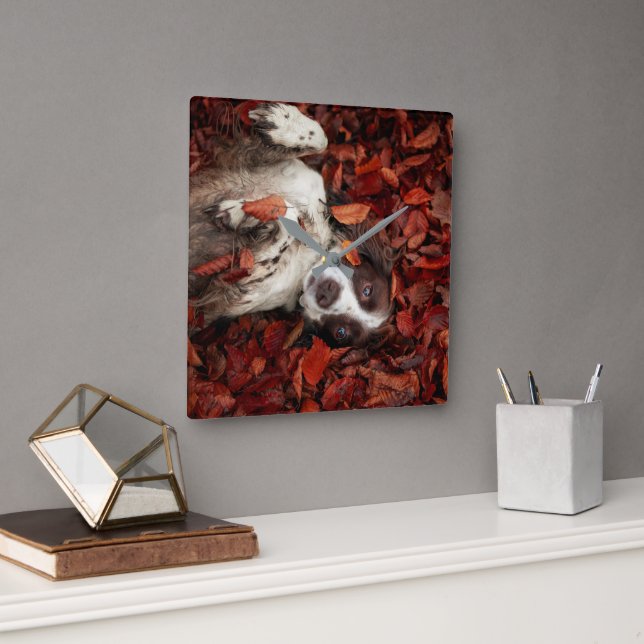 Cutest Baby Animals | Spaniel in Autumn Leaves Square Wall Clock (Office)