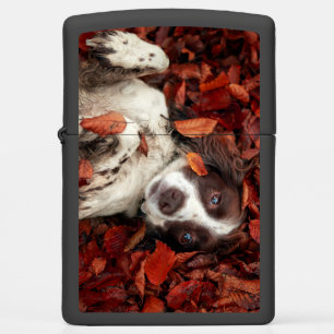 Cutest Baby Animals   Spaniel in Autumn Leaves Zippo Lighter