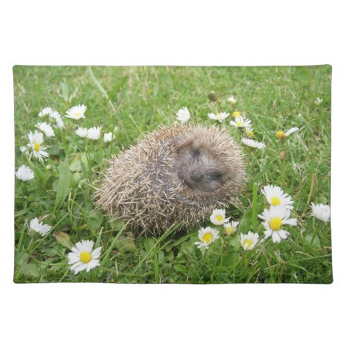 Cutest Baby Animals  Spanish Hedgehog Cloth Placemat