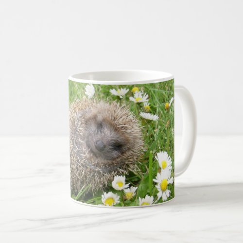Cutest Baby Animals  Spanish Hedgehog Coffee Mug