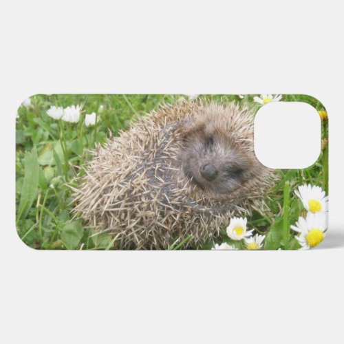 Cutest Baby Animals  Spanish Hedgehog iPhone 13 Case