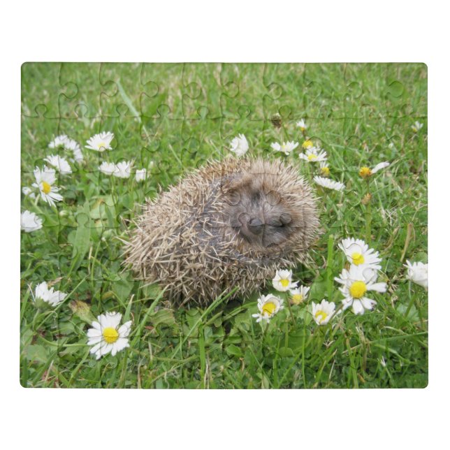Cutest Baby Animals | Spanish Hedgehog Jigsaw Puzzle (Puzzle Horizontal)