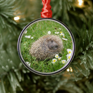 Cutest Baby Animals Spanish Hedgehog Metal Ornament